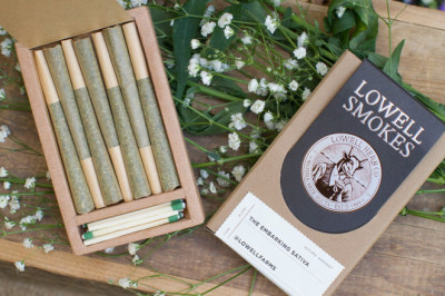 Get pre roll joint boxes with free shipping all over USA