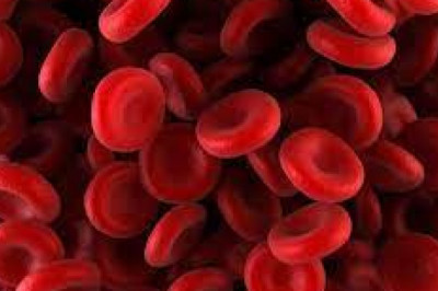 Hematology Market Industry Analysis & Forecast to 2026