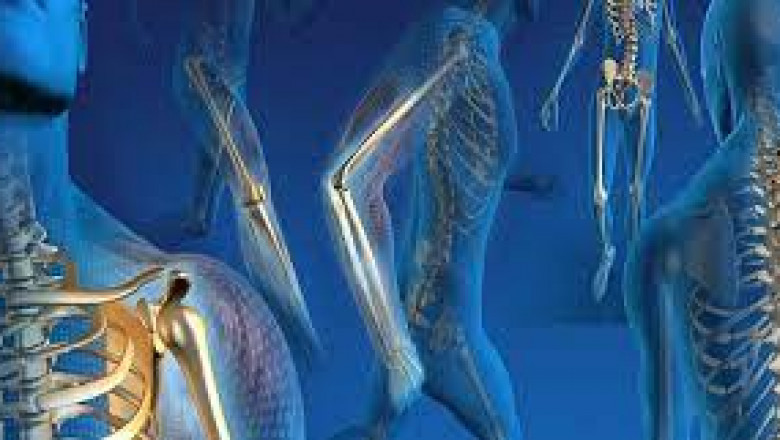 Orthopedic Trauma Devices Market Size, Share & Trends Analysis