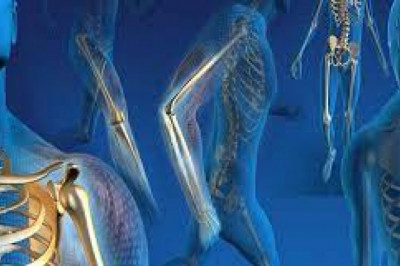 Orthopedic Trauma Devices Market Size, Share & Trends Analysis