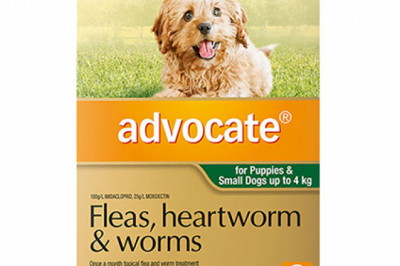Advocate For Dogs | Flea, Tick & Heartworm Treatment