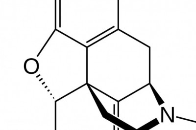 Sales Revenue Of Thebaine Market To Soar In The Near Future Owing To Growing Consumer Adoption
