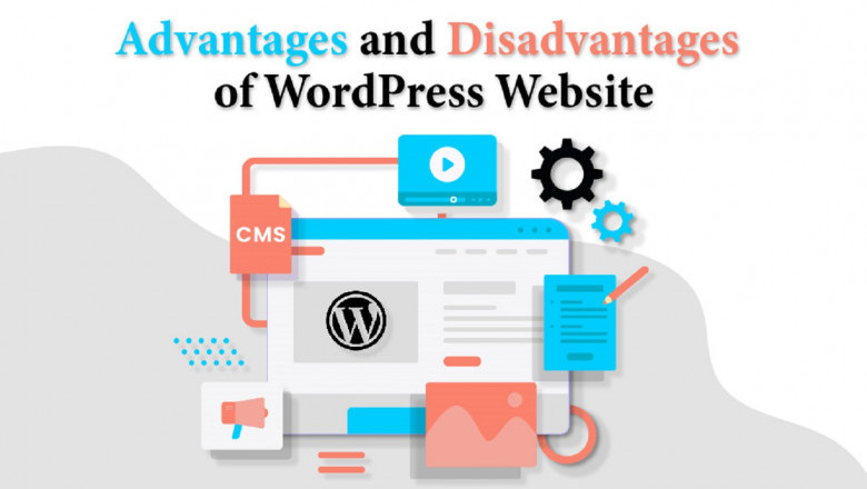 Advantages and disadvantages of Word Press Website