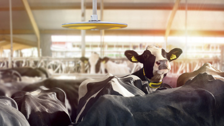 Dairy Herd Management Market Study: An Emerging Hint of Opportunity 2021