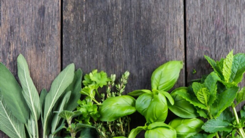Herb Shop - How to Choose Best Herb Shop in Pakistan