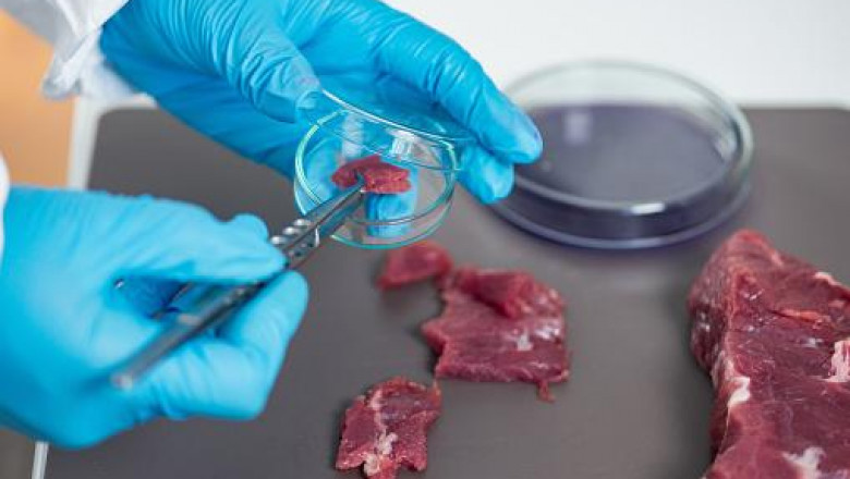 Latest Report on Meat Speciation Testing Market 2021 Global Industry Type, Size, Key Players like LGC Ltd., SYNLAB