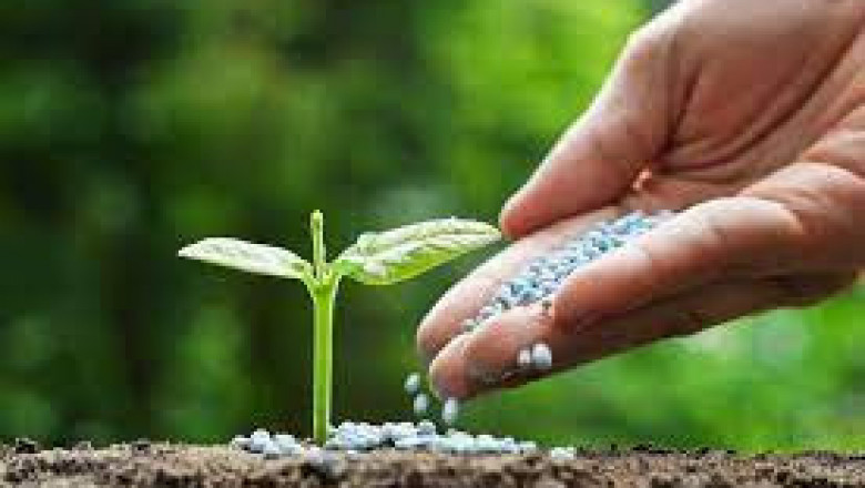 Sales Revenue Of Complex Fertilizers Market To Soar In The Near Future Owing To Growing Consumer Adoption