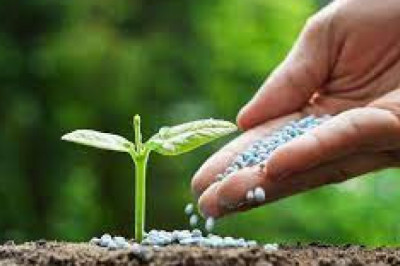 Sales Revenue Of Complex Fertilizers Market To Soar In The Near Future Owing To Growing Consumer Adoption