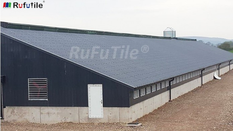 The Performance of Various Roof Tiles In Animal Husbandry