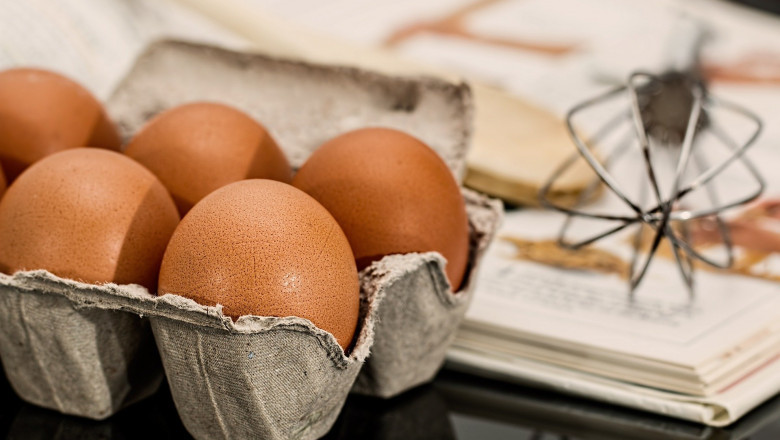 Insect Protein Market - Global Industry Analysis 2027