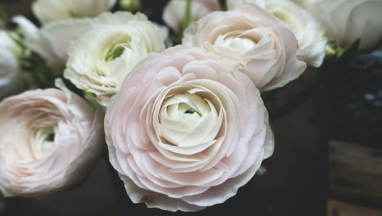The Advantages of Sola Wood Flowers