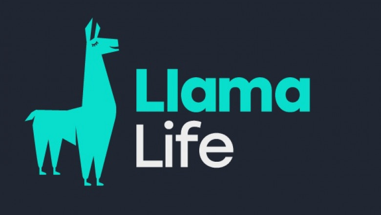 The Life Insurance Diaries