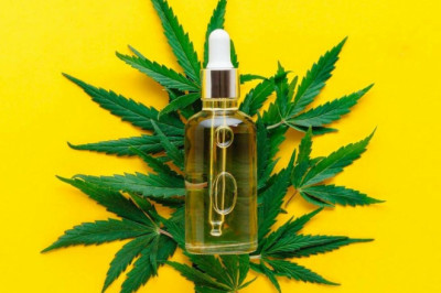 All Aspects About Best Cbd Oils Review
