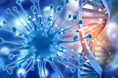 Cancer Diagnostics Market Overview, Key Enhancement, with Status, Trends and Future Prospective to 2027 | Cancer Diagnostics, Inc. (the U.S.), Biotheranostics, Inc. (the U.S.), BioMark Diagnostics Inc. (Canada)