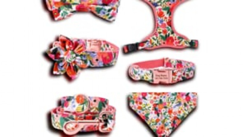 Free Engraving on Personalized Dog ID Collar Set with Leash, Flower, Bandana and Harness