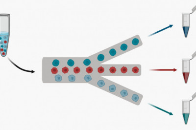 Global Cell Sorter Market Size Prognosticated to Observe a Living Growth by 2027 performed by a new report | Beckman Coulter, Bio-Rad Laboratories, Sony Biotechnology