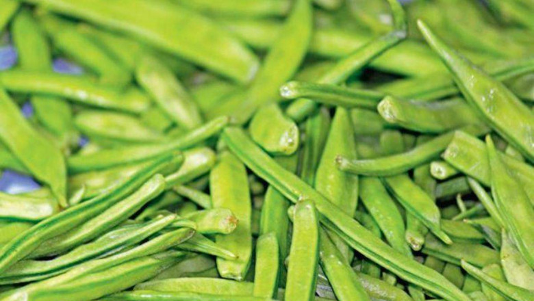 Global Guar Gum Market - Size and Forecast