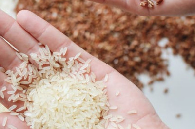 Taj Foods Blogs Pakistan