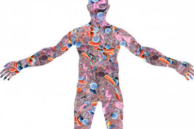 Human Microbiome Market Forecast to 2028 and Global Analysis