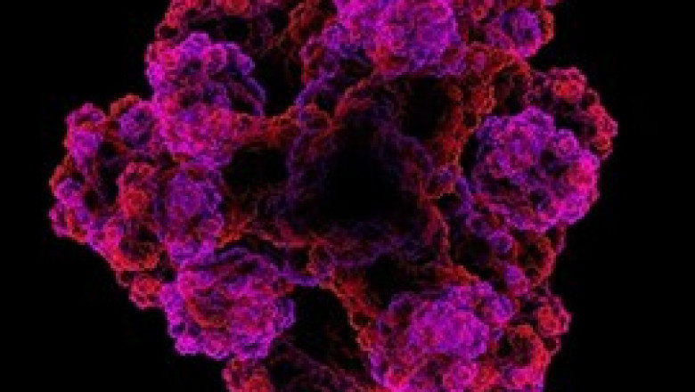 Protein Sequencing Market Size Estimation, Price Trends, Sales, Industry Latest News and Regional Demand 2027