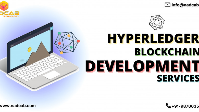 A Guide to Hyperledger Development