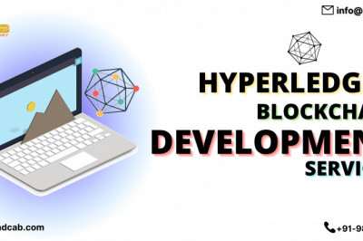 A Guide to Hyperledger Development