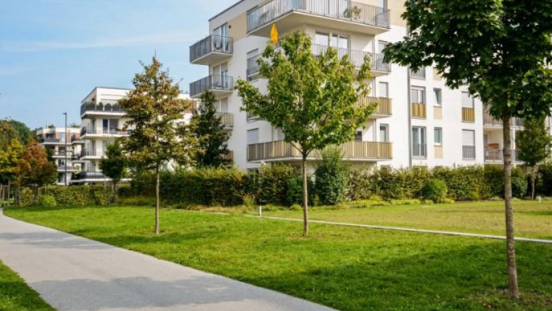 An Introduction To Feminized Seeds – What You Should Know