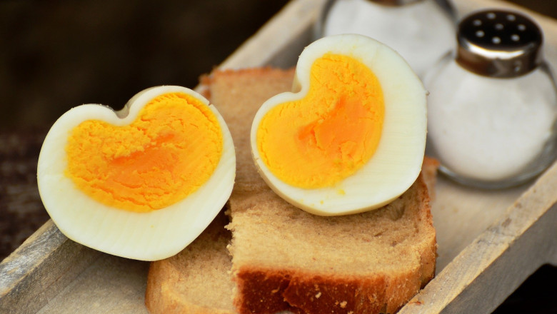 Egg and Egg Products Market - Global Industry Analysis 2024