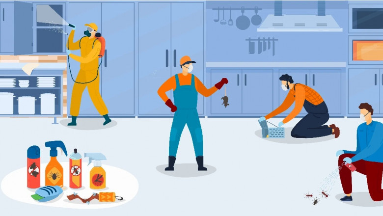 Book Cockroach Control Service At Best Price | HiCare