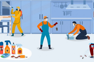 Book Cockroach Control Service At Best Price | HiCare