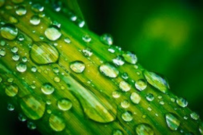 Pesticide Adjuvants Market Global Company Analysis By Size, Share, Trends, Company Overview and Forecast 2027 |  Wilbur-Ellis Company, Miller Chemical and Fertilizer, LLC, Kalo Inc., Innvictis Crop Care, LLC, and Clariant AG.