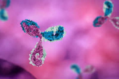 When separating proteins from mixtures, Protein A Resin is often used as an alternative to other methods.