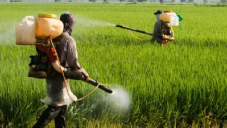 The Agrochemicals market is expected to increase even more as a result of this