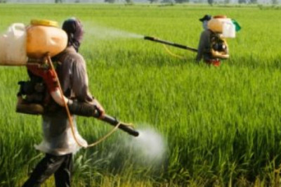 The Agrochemicals market is expected to increase even more as a result of this