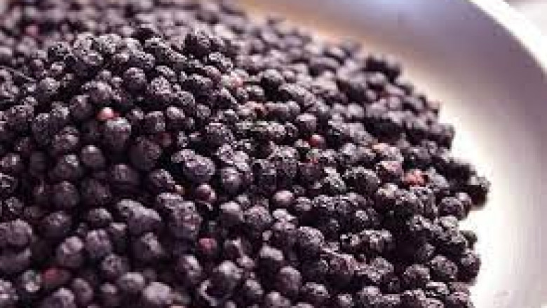 Maqui Berries Market In-Depth Analysis Including Key Players-Maqui New Life S.A., Neorganika, Sevenhills Wholefoods