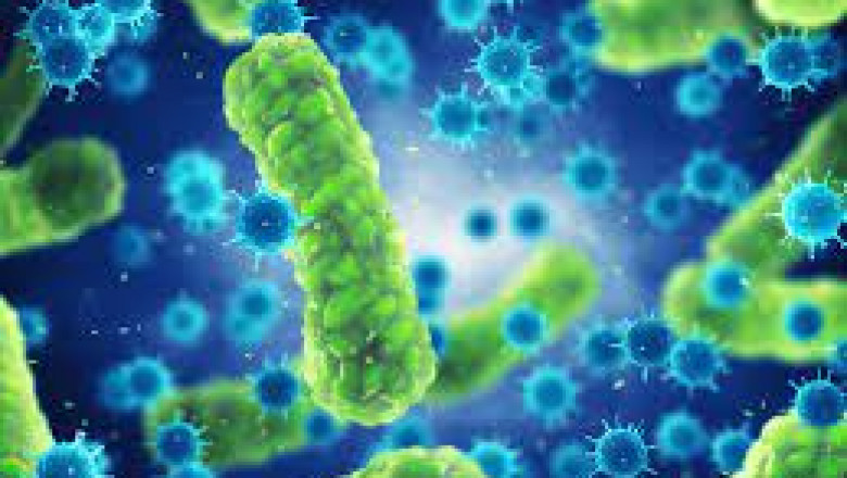 Antimicrobial coatings are made up of a chemical ingredient or a combination of chemical compounds that prevent bacteria from growing on the surface
