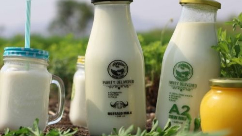 Benefits of A2 Pure Desi Cow Ghee for Babies