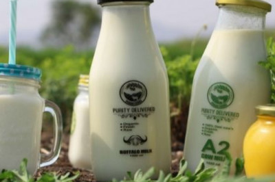 Benefits of A2 Pure Desi Cow Ghee for Babies