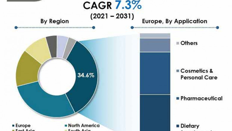 Acetylglucosamine Market - Industry Report, 2031