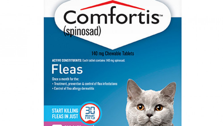 Comfortis For Cats Online | DiscountPetCare