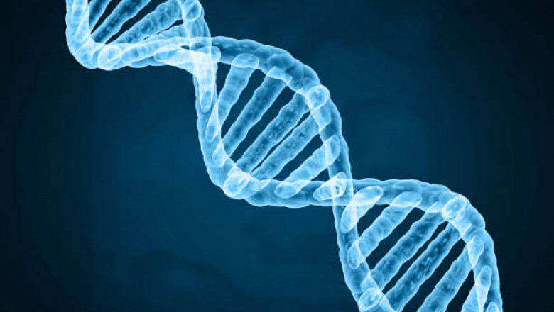 Gene Synthesis is Progressing in Terms of Production Scales or Bringing in New Methods Developed for Different Applications