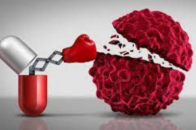 Global Immunotherapy Drugs Market Overview, Demand, Growth Forecast and Development Research Report to 2030