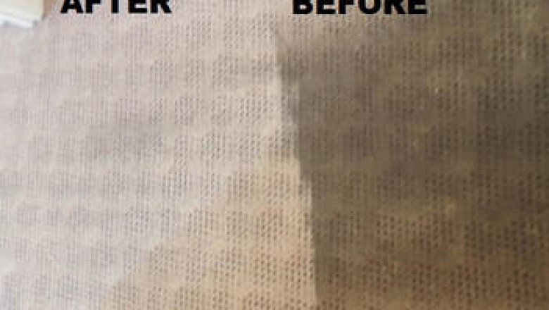Selecting the ideal Carpet Cleaning Companies