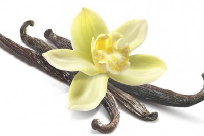 An Extract of the Vanilla Orchid Seed Pods, Bio Vanillin is a Combination of Flavor and Fragrance.