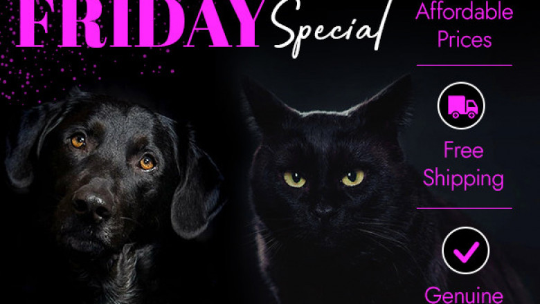 Bargainpetproducts has Black Friday sales on all of their pet products