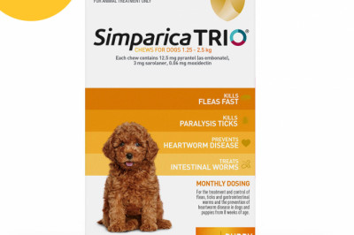 Black Friday & Cyber Monday Sale 2021 | Shop Best Deal At DiscountPetCare