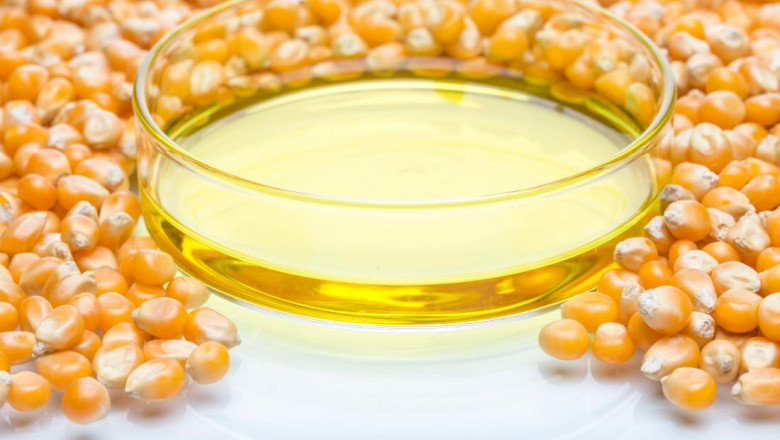 Large Amounts Of High Fructose Corn Syrup Can Significantly Increase The Amount Of Insulin Required By The Body