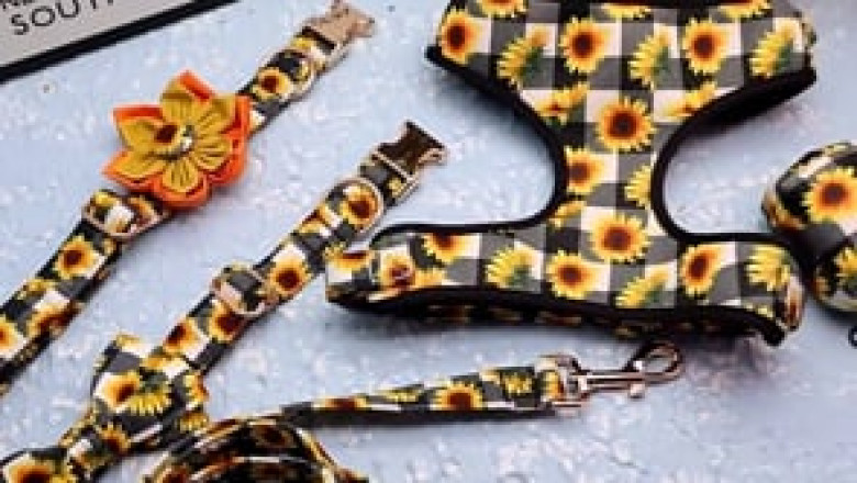 Personalized Sunflower Collar, Leash, Harness and Set