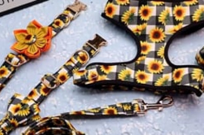 Personalized Sunflower Collar, Leash, Harness and Set