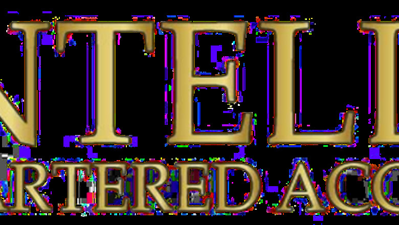 Top Business Consultancy Services In Dubai, UAE : Intellect CA